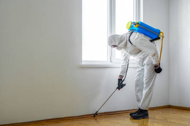 Best Affordable Pest Control Services  in San Manuel, AZ